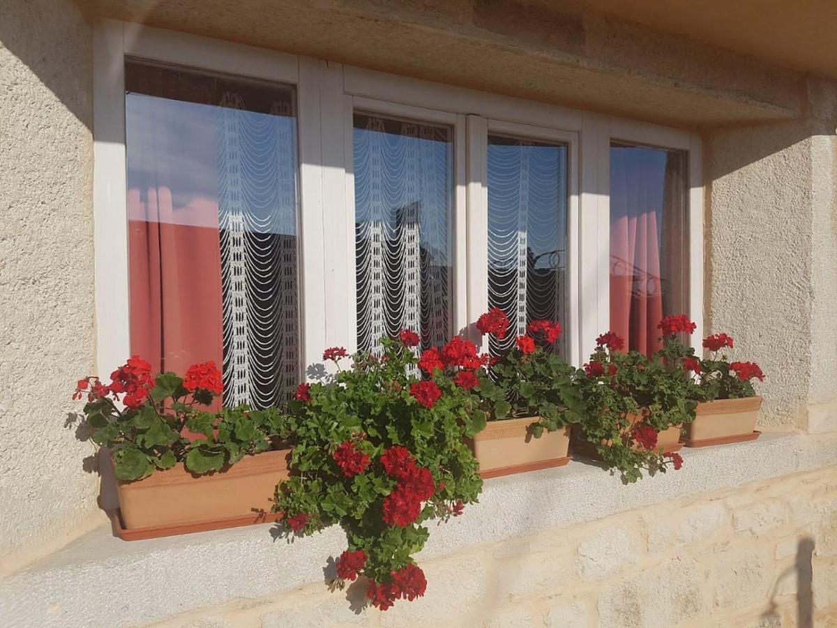 Villa Casa Ladonja Poreč Exterior foto